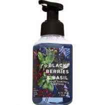Bath and Body Works Gentle Foaming Soap