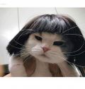 raynahasan dari Female Daily merekomendasikan Produk Ini