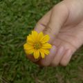 ailasalma dari Female Daily merekomendasikan Produk Ini