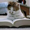 tyastyas dari Female Daily merekomendasikan Produk Ini