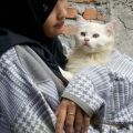 Juliansilvilucky dari Female Daily merekomendasikan Produk Ini