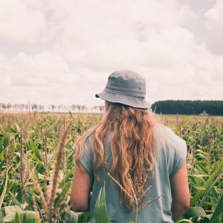 Agronomist (Agronom)
