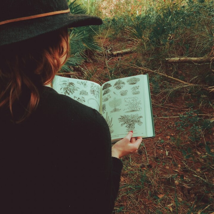 Botanist (Botanis)