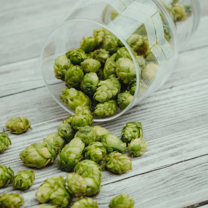 Brewer (Pembuat Bir)