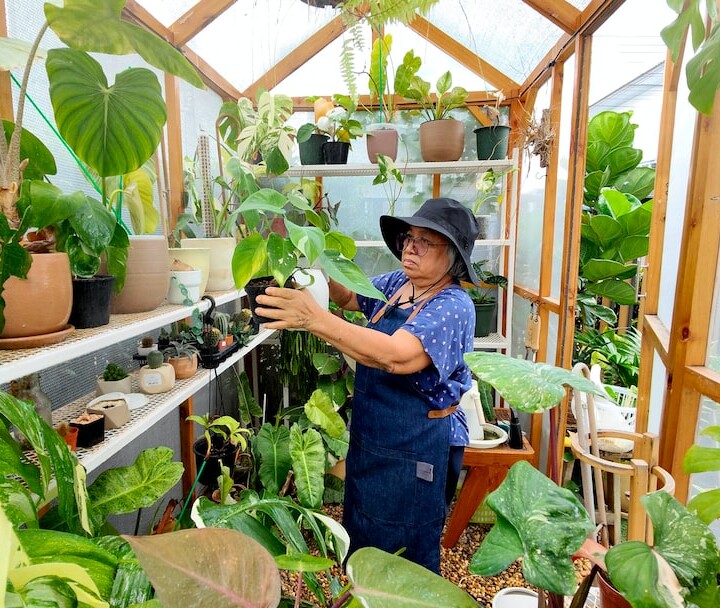 Gardener (Tukang Kebun)